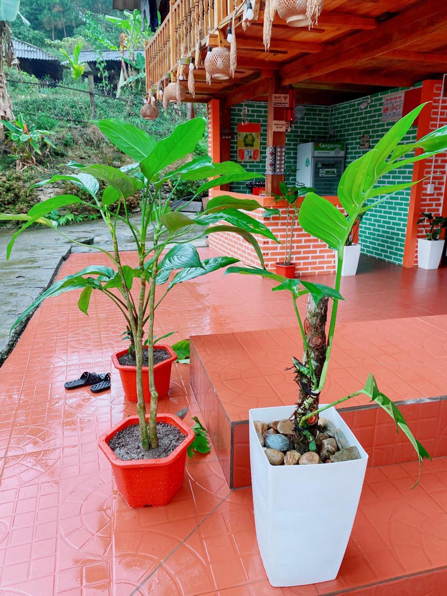 Duy Homestay Du Gia Làng Cac Exterior photo