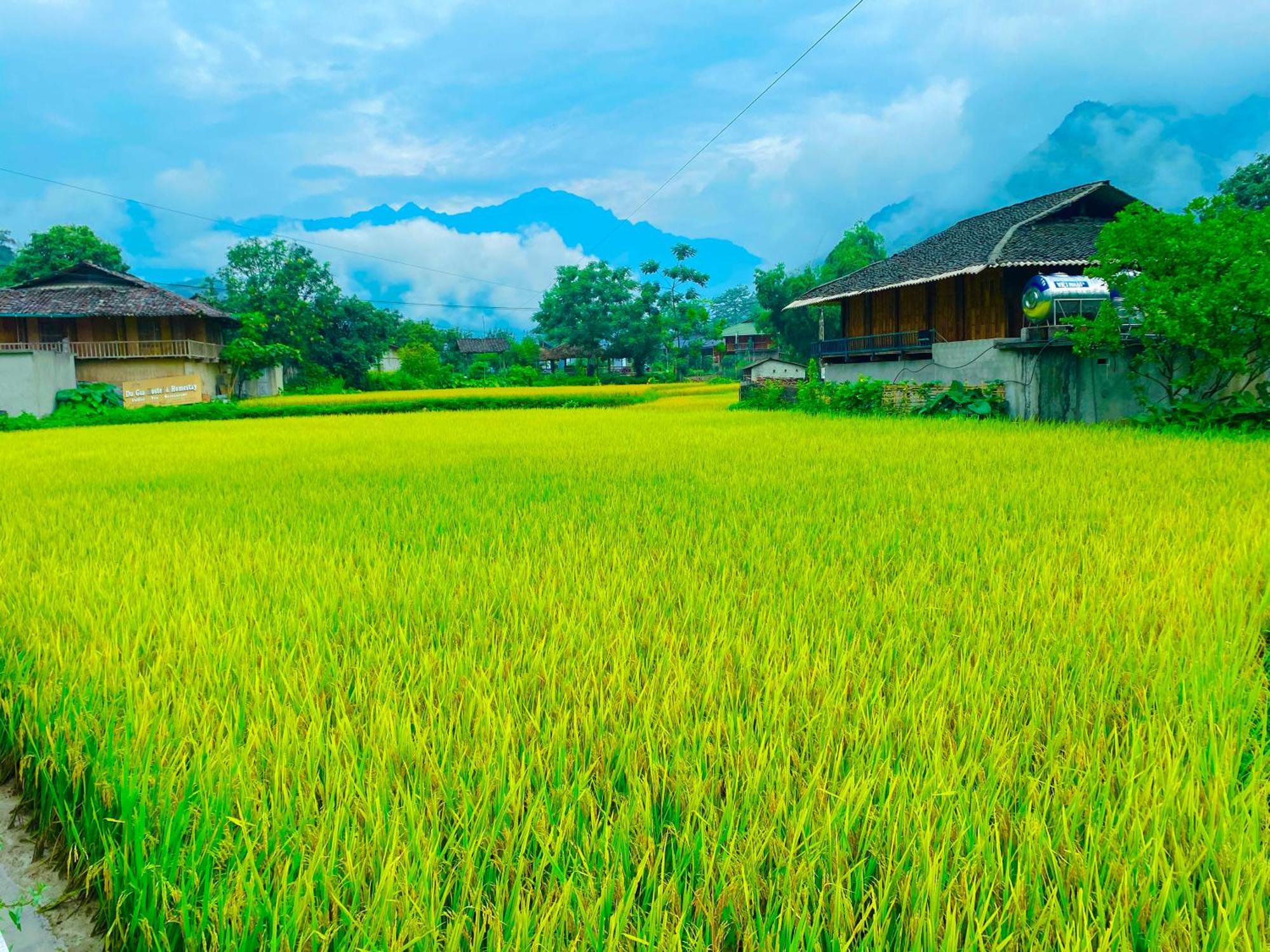 Duy Homestay Du Gia Làng Cac Exterior photo